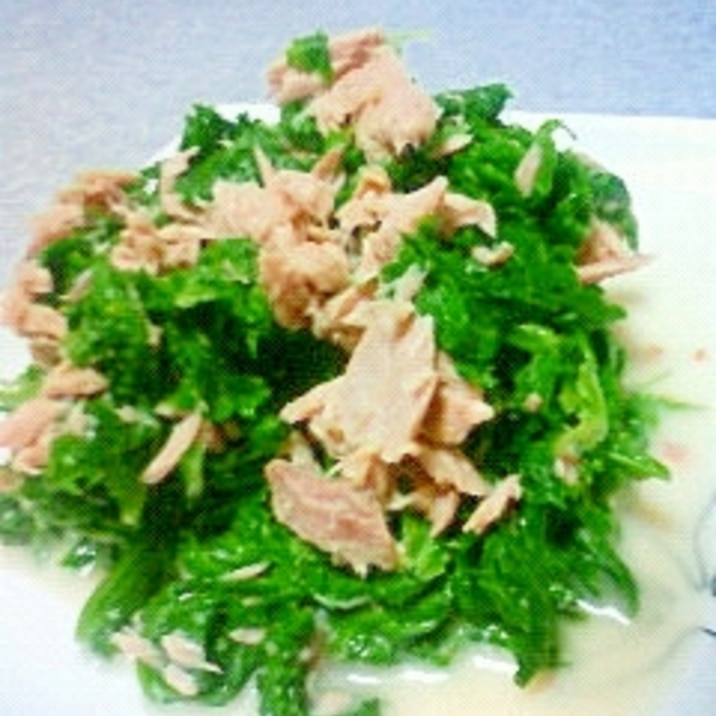 わさび菜とツナのおひたし レシピ 作り方 By みぃこ 楽天レシピ わさび菜とツナのおひたし レシピ 作り方 By みぃこ 楽天レシピ